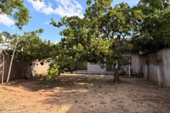 Vista do quintal